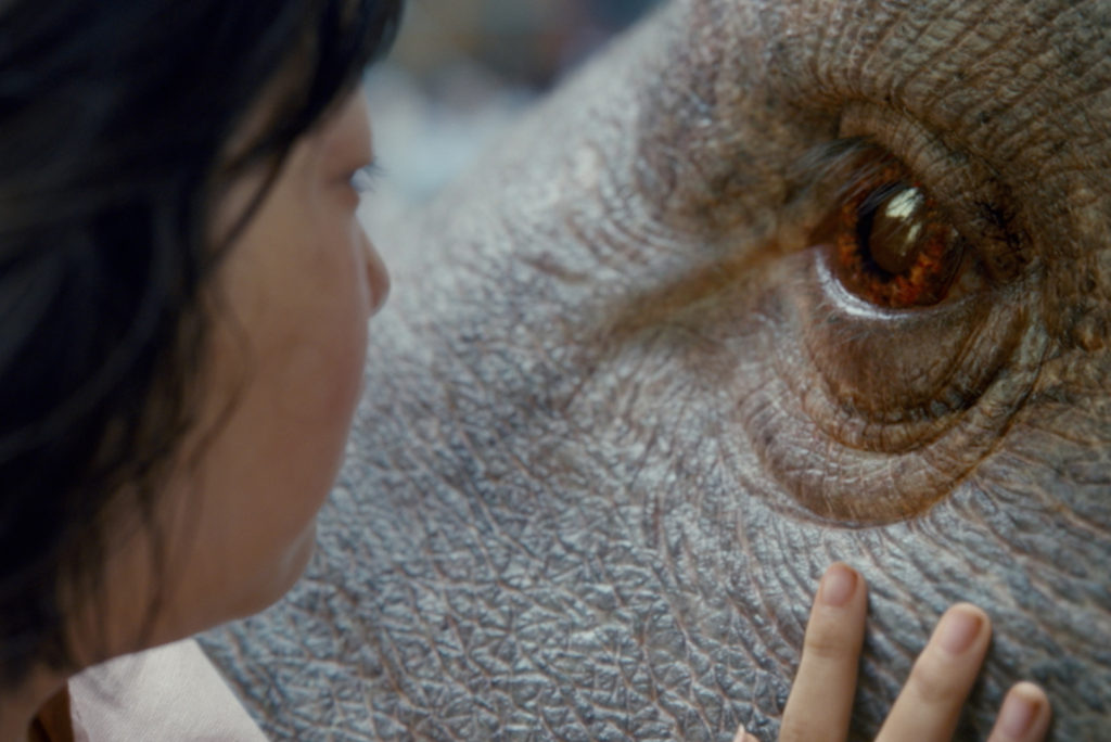 OKJA
